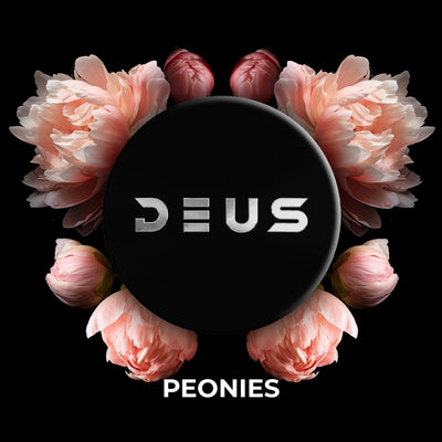 Peonies