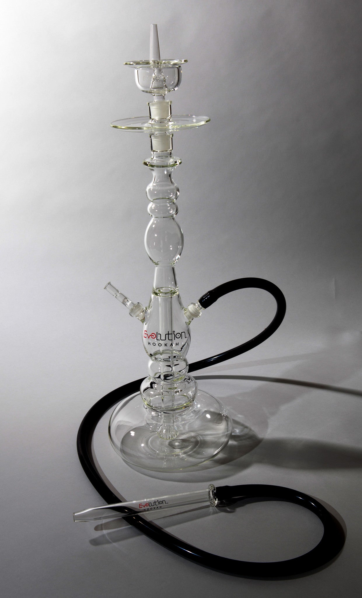 Evolution Elegante