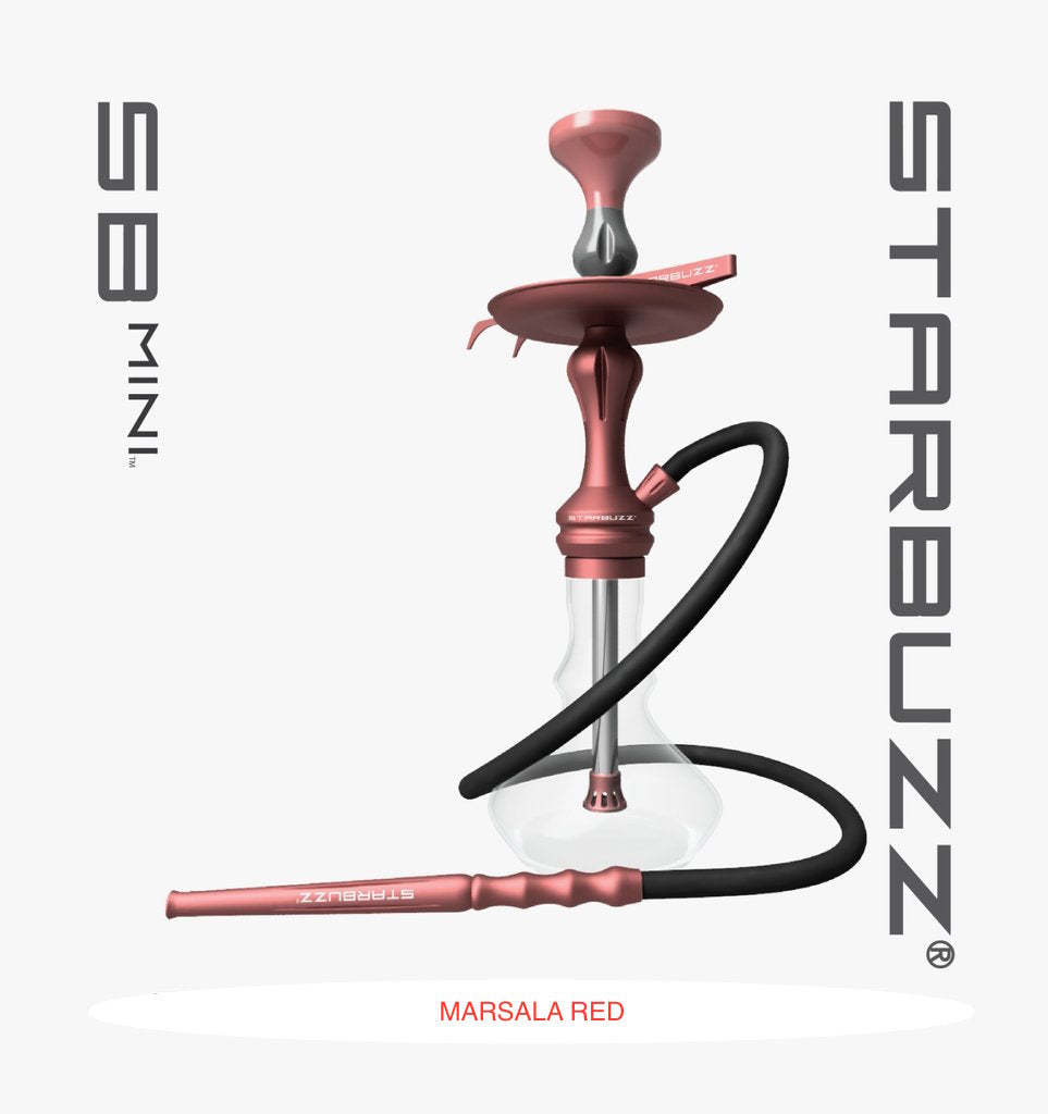 Starbuzz Mini Hookah Complete