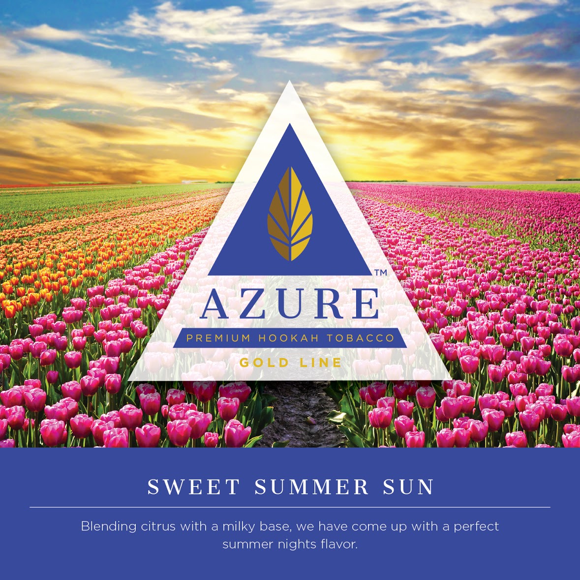 Azure Gold 250g Tobacco