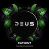 Catmint