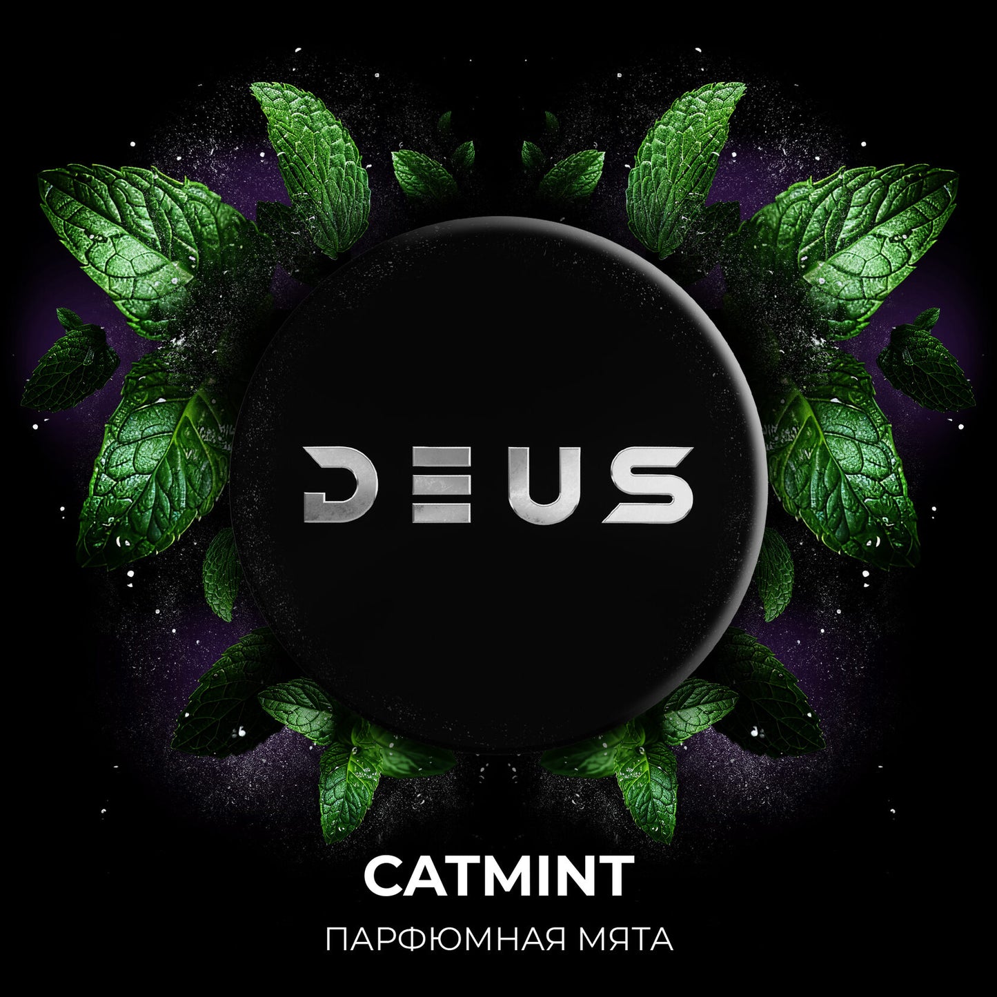 Catmint