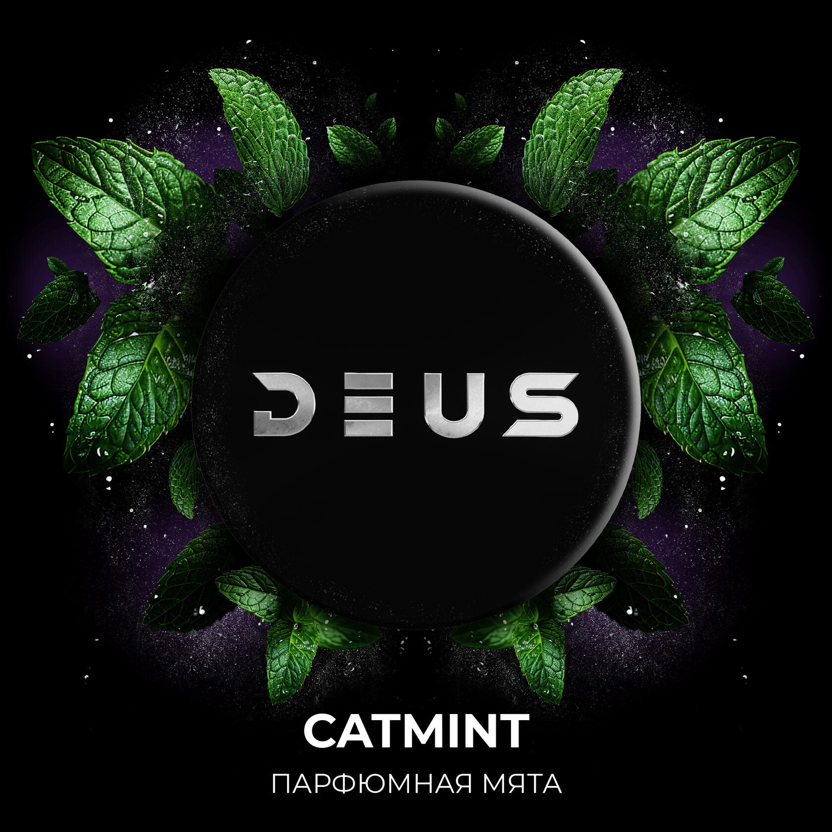 Catmint