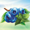 Adalya Hookah Tobacco Kilogram