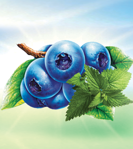 Adalya Hookah Tobacco Kilogram