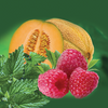 Adalya Hookah Tobacco Kilogram