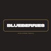 Severniy Professional Blueberry 100g