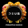 Pineapple Mango