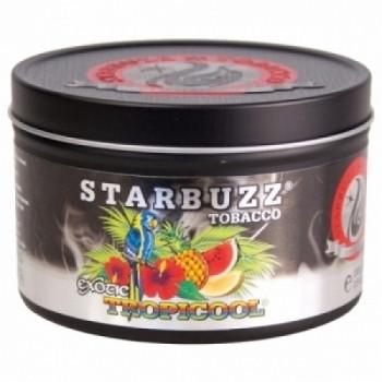 Starbuzz Bold Tobacco 100g