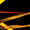 Dschinni Crab Tweezer